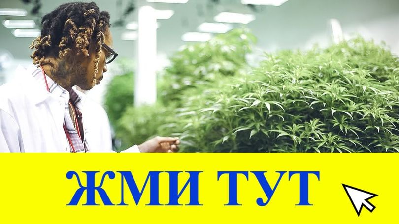 Купить наркотики в Курчалом